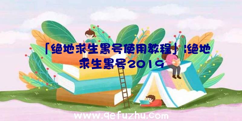 「绝地求生黑号使用教程」|绝地求生黑号2019